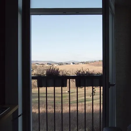 Folwark Boguszyn 公寓 克沃兹科